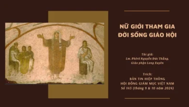 Nữ Giới Tham Gia Đời Sống Giáo Hội