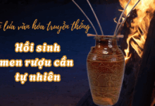 Hồi Sinh Men Rượu Cần Tự Nhiên Tại Vùng Đất Phan Sơn