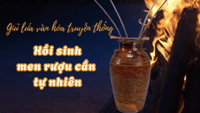 Hồi Sinh Men Rượu Cần Tự Nhiên Tại Vùng Đất Phan Sơn