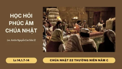 Học Hỏi Phúc Âm Chúa Nhật 22 Thường Niên Năm C (Lc 14,1.7-14)