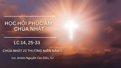 hoc-hoi-phuc-am-chua-nhat-23-thuong-nien