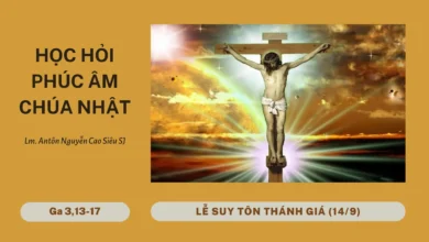 Học Hỏi Phúc Âm Lễ Suy Tôn Thánh Giá 14/9 (Ga 3,13-17)