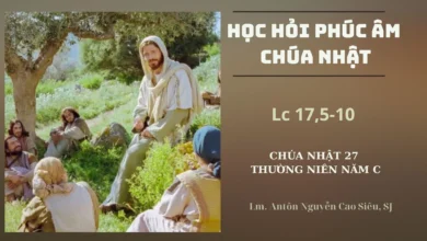 Học Hỏi Phúc Âm Chúa Nhật 27 Thường Niên Năm C (Lc 17,5-10)