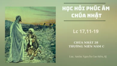 Học Hỏi Phúc Âm Chúa Nhật 28 Thường Niên Năm C (Lc 17,5-10)