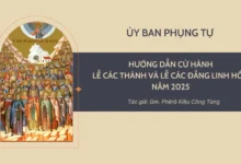 Hướng Dẫn Cử Hành Lễ Các Thánh Và Lễ Các Đẳng Linh Hồn Năm 2025