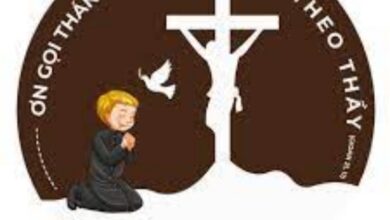 Ơn Gọi Linh Mục Và Tu Sĩ Trong Giáo Hội Hôm Nay