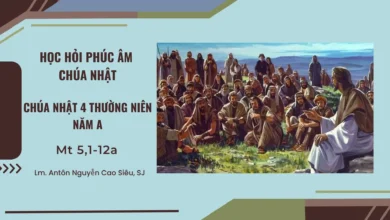 hoc-hoi-phuc-am-chua-nhat-4-thuong-nien-nam-a-mt-51-12a