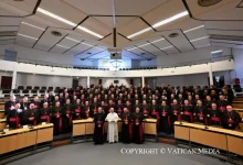 canh-tan-giao-hoi-tai-phap-trong-niem-hy-vong-dien-van-cua-duc-thanh-cha-leo-xiv-voi-cac-giam-muc-thuoc-hoi-dong-giam-muc-phap