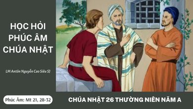 hoc-hoi-phuc-am-chua-nhat-26-thuong-nien-nam-a
