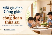 moi-gia-dinh-cong-giao-la-mot-cong-doan-thua-sai