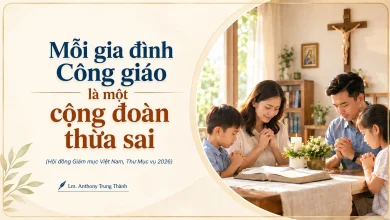 moi-gia-dinh-cong-giao-la-mot-cong-doan-thua-sai